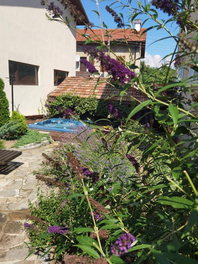Mira Guest House Dobrinishte Luaran gambar
